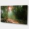 Designart - Amazing Green Forest at Sunset - Landscape Canvas Art Print